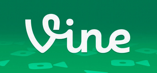 Vine