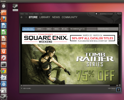 ubuntu-steam2